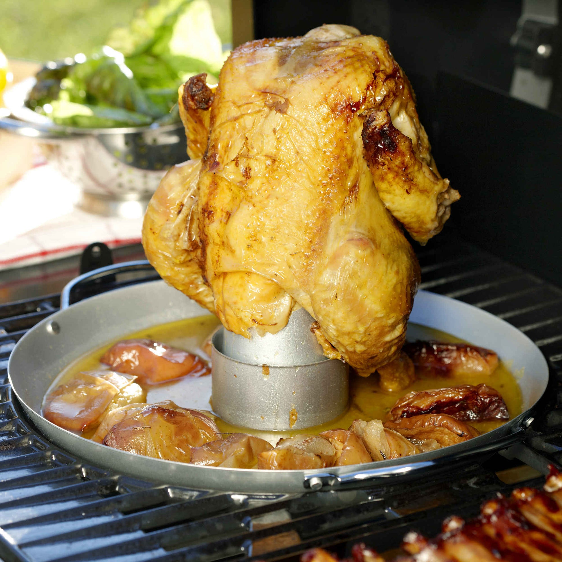 Culinary Modular Hähnchenbräter   Campingaz & Coleman