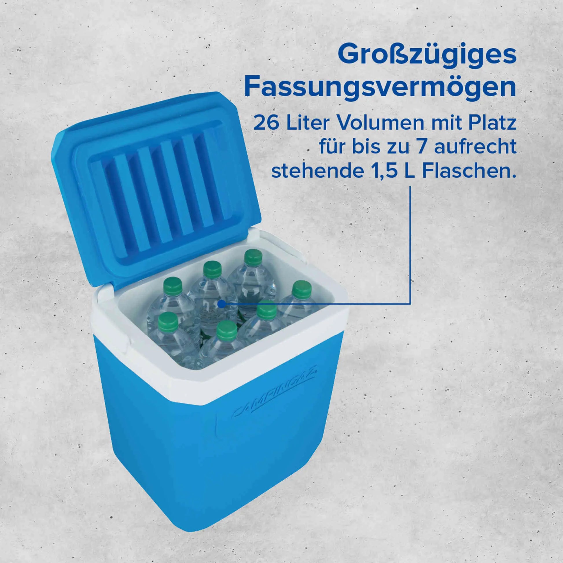Campingaz Icetime Plus 26L Kühlbox