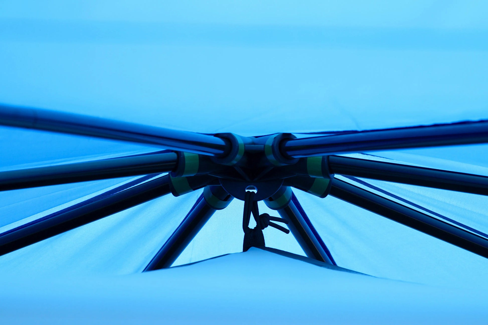 Octagon 8 Blau Coleman