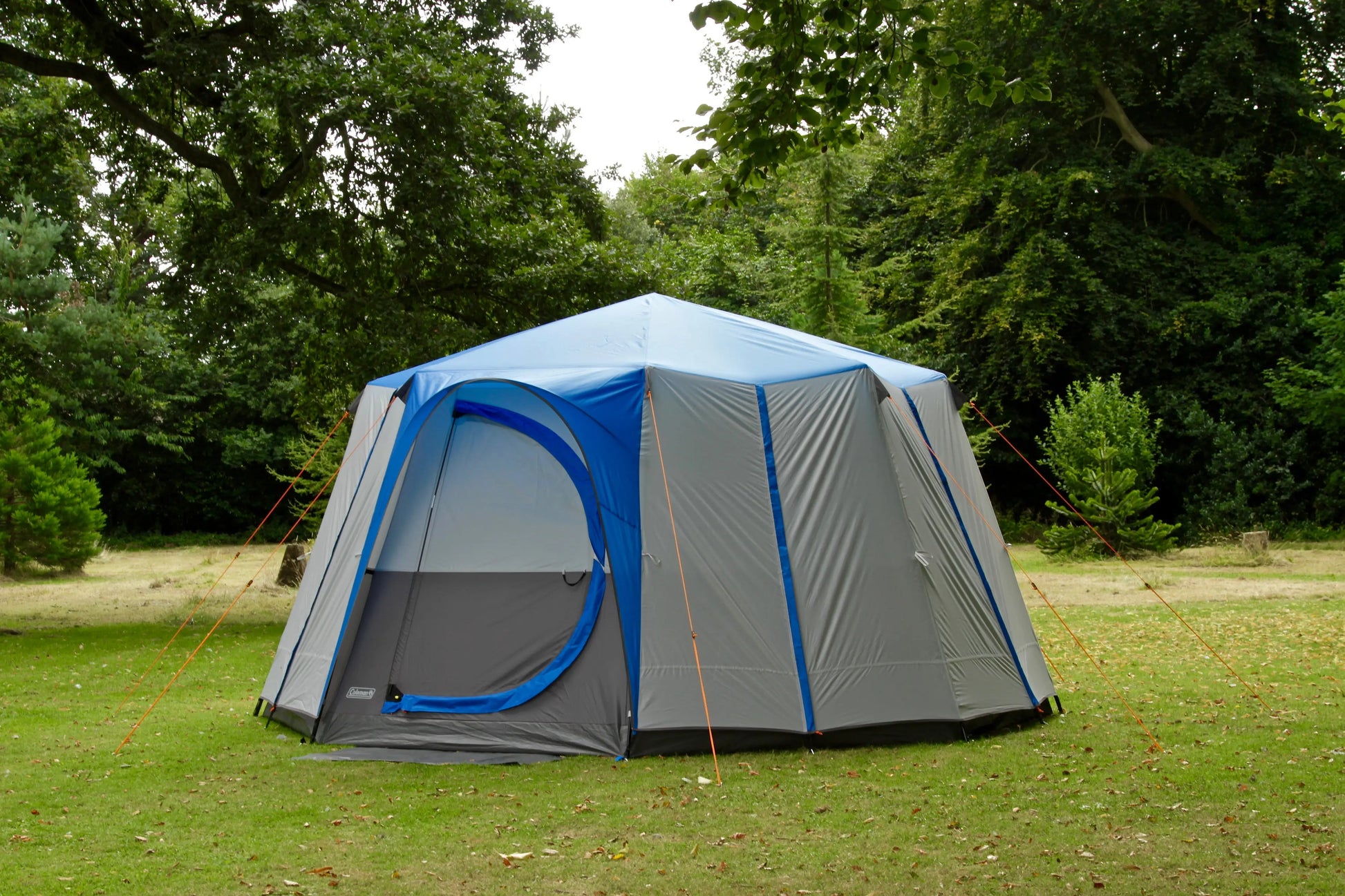 Octagon 8 Blau Coleman