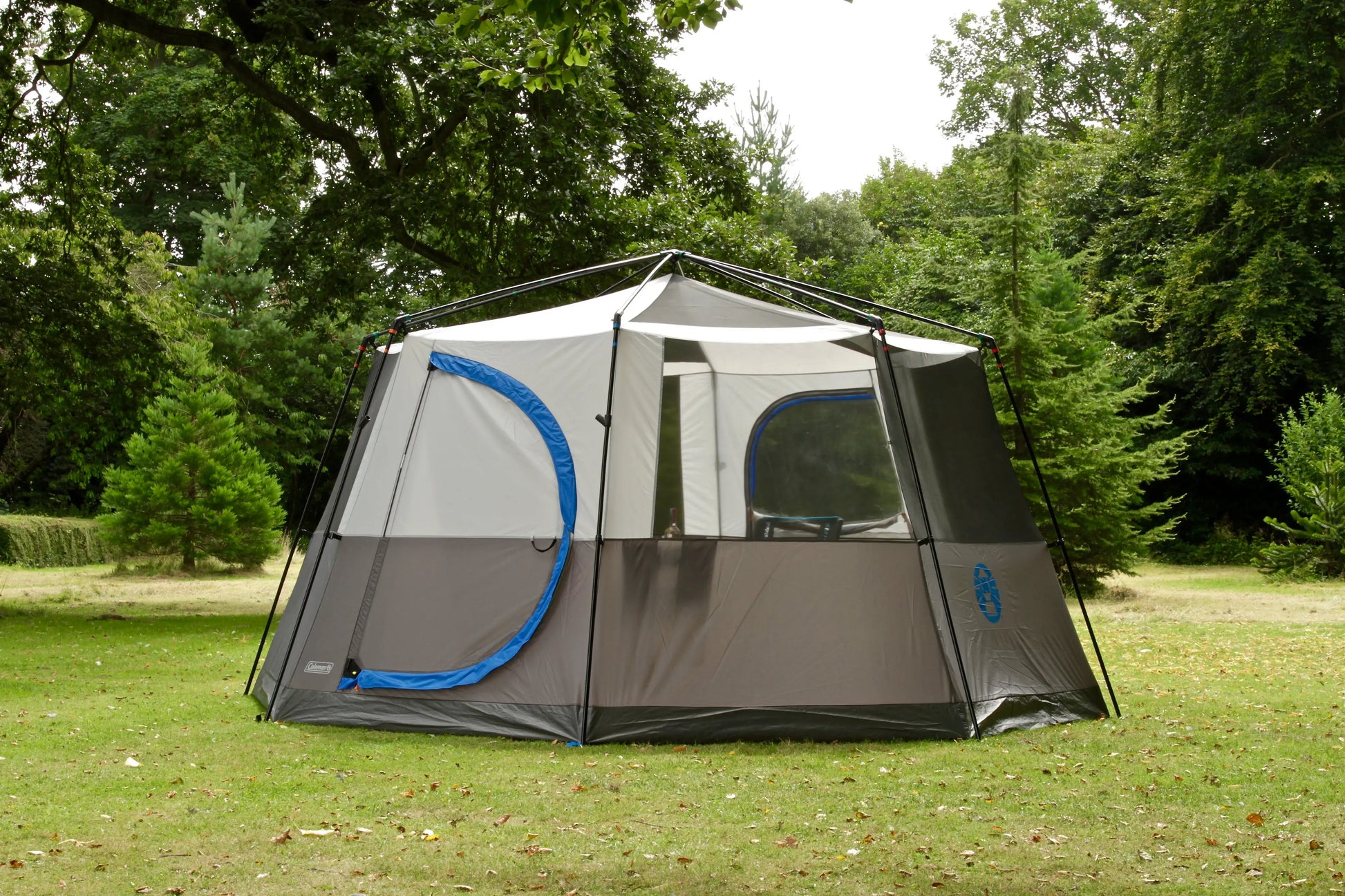 Octagon 8 Blau Coleman