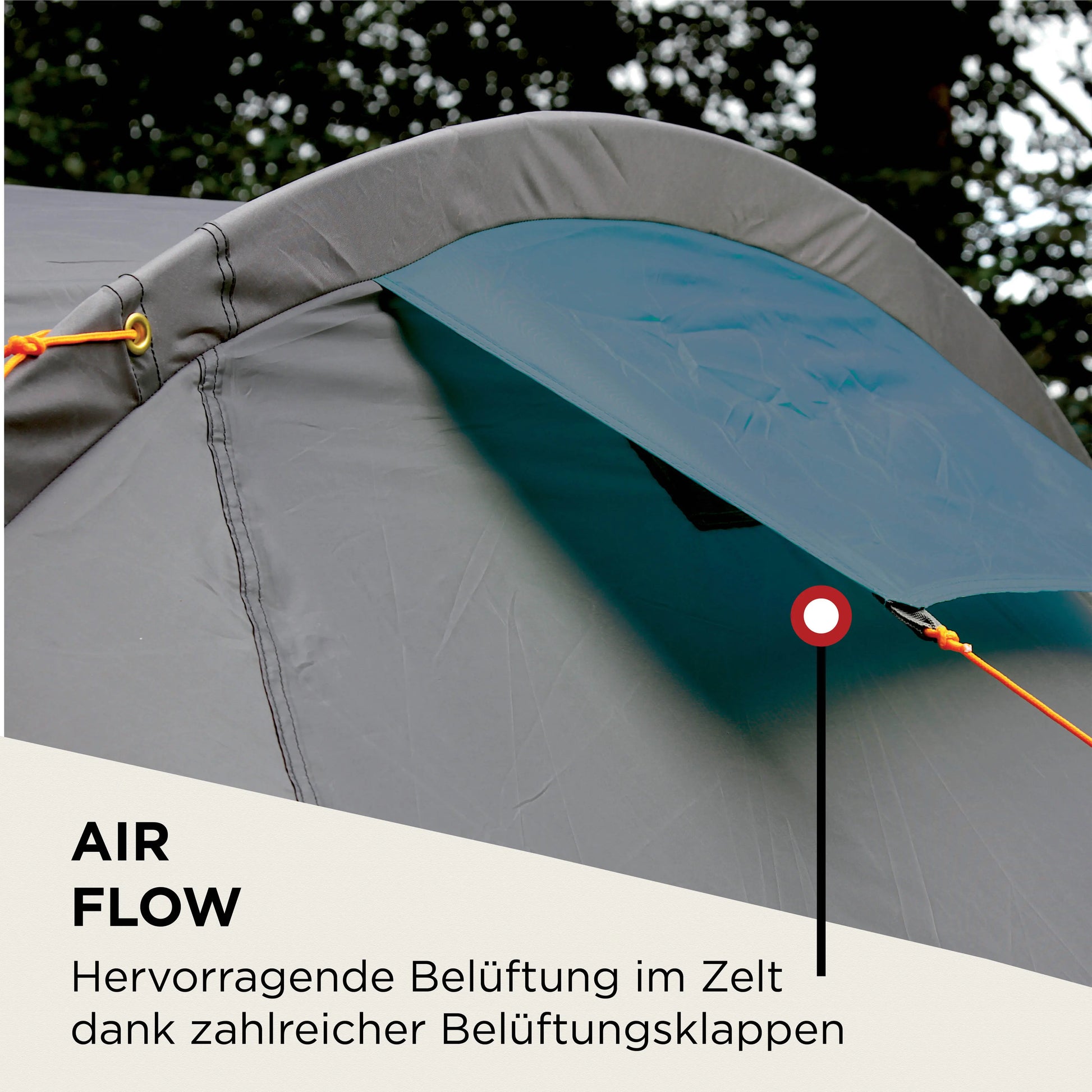 coleman zelt cortes Cortes 3 Blau | 3 Personen Camping Tunnelzelt