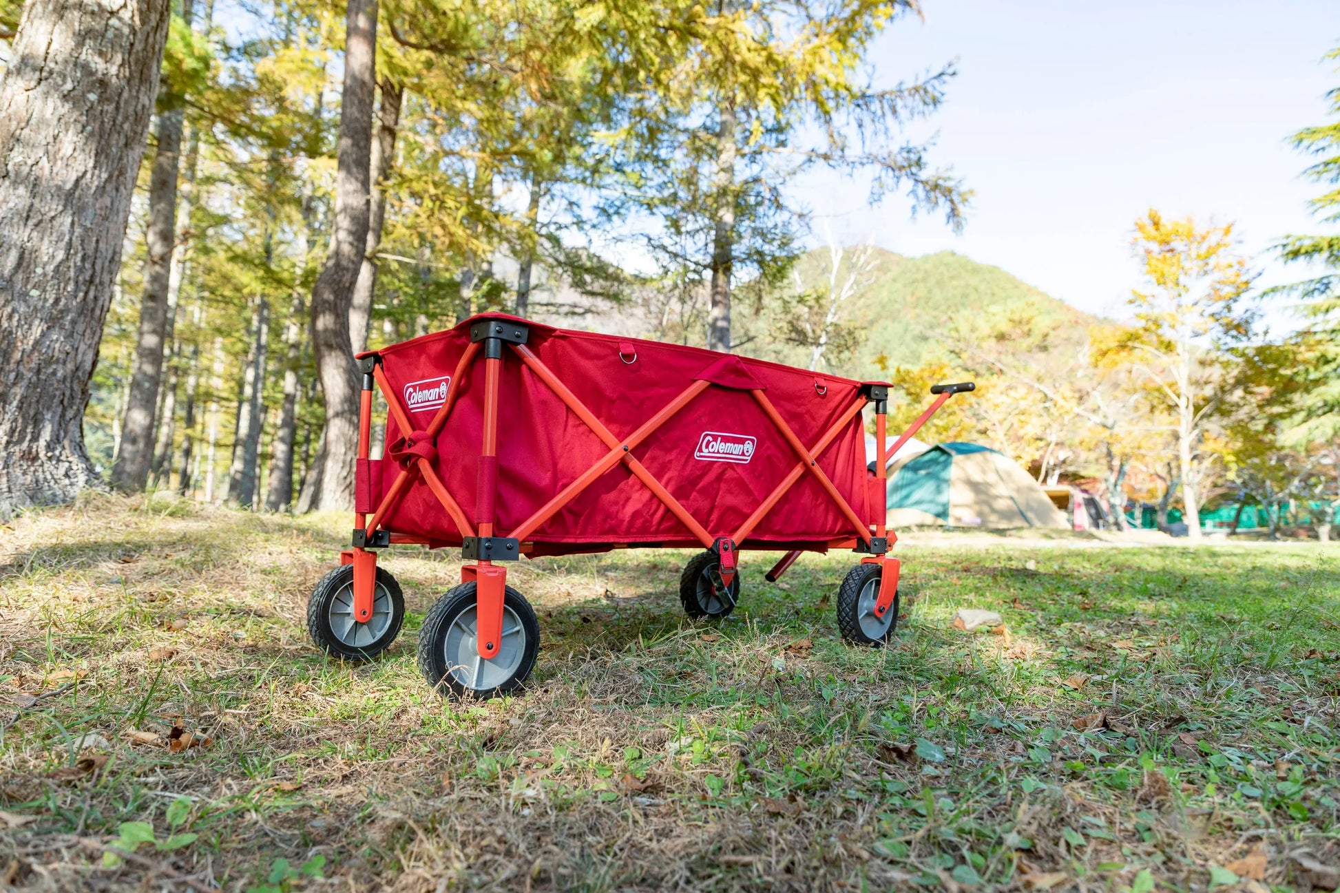 Camping Wagon Bollerwagen Coleman