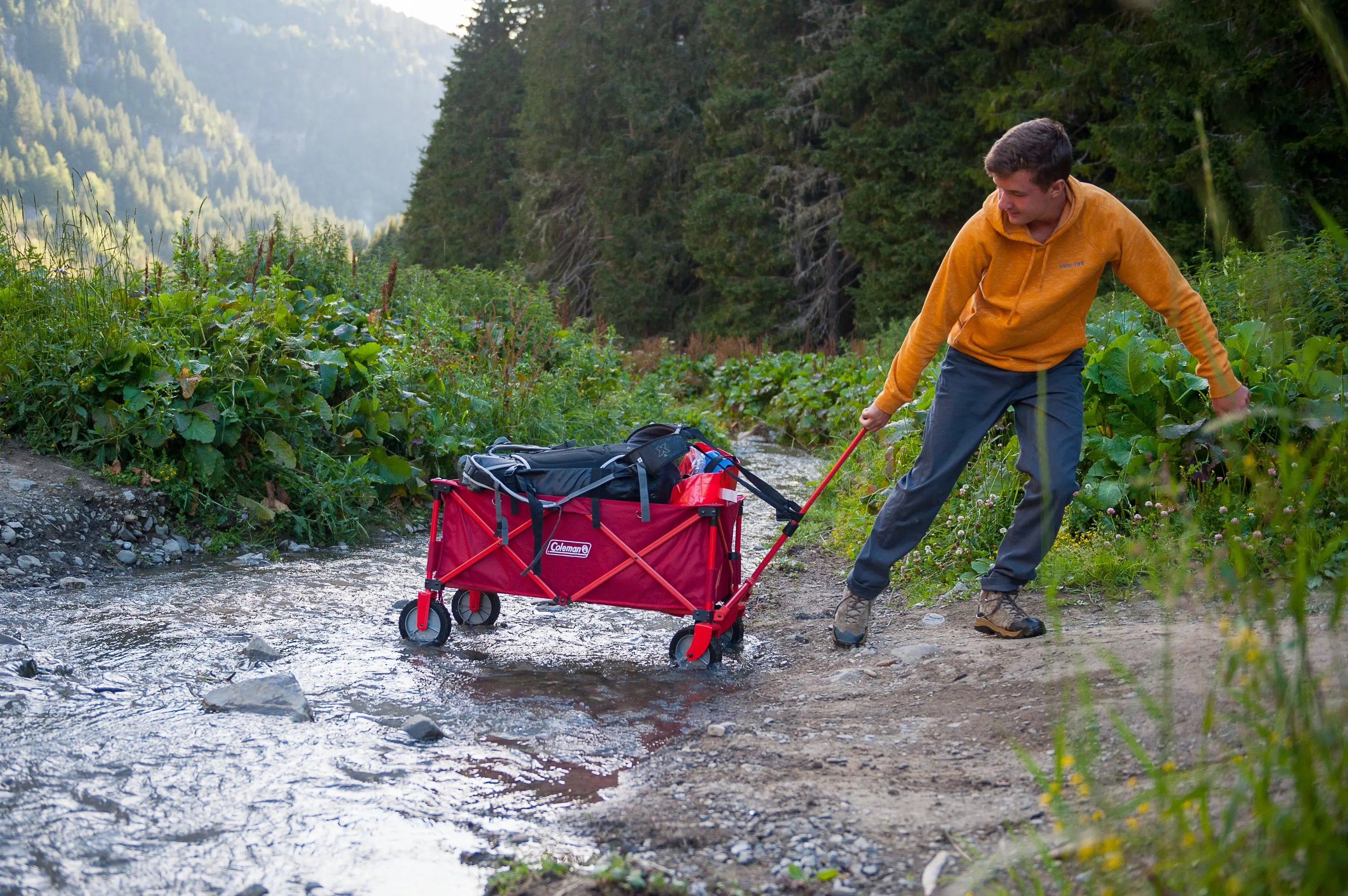 Camping Wagon Bollerwagen Coleman
