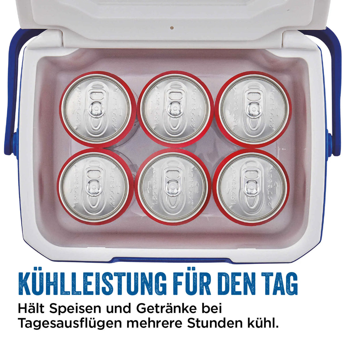 Coleman 5QT Performance | 5 Liter Kühlbox | bis zu 9 Stunden Kühlung  Kühlbox Campingaz & Coleman