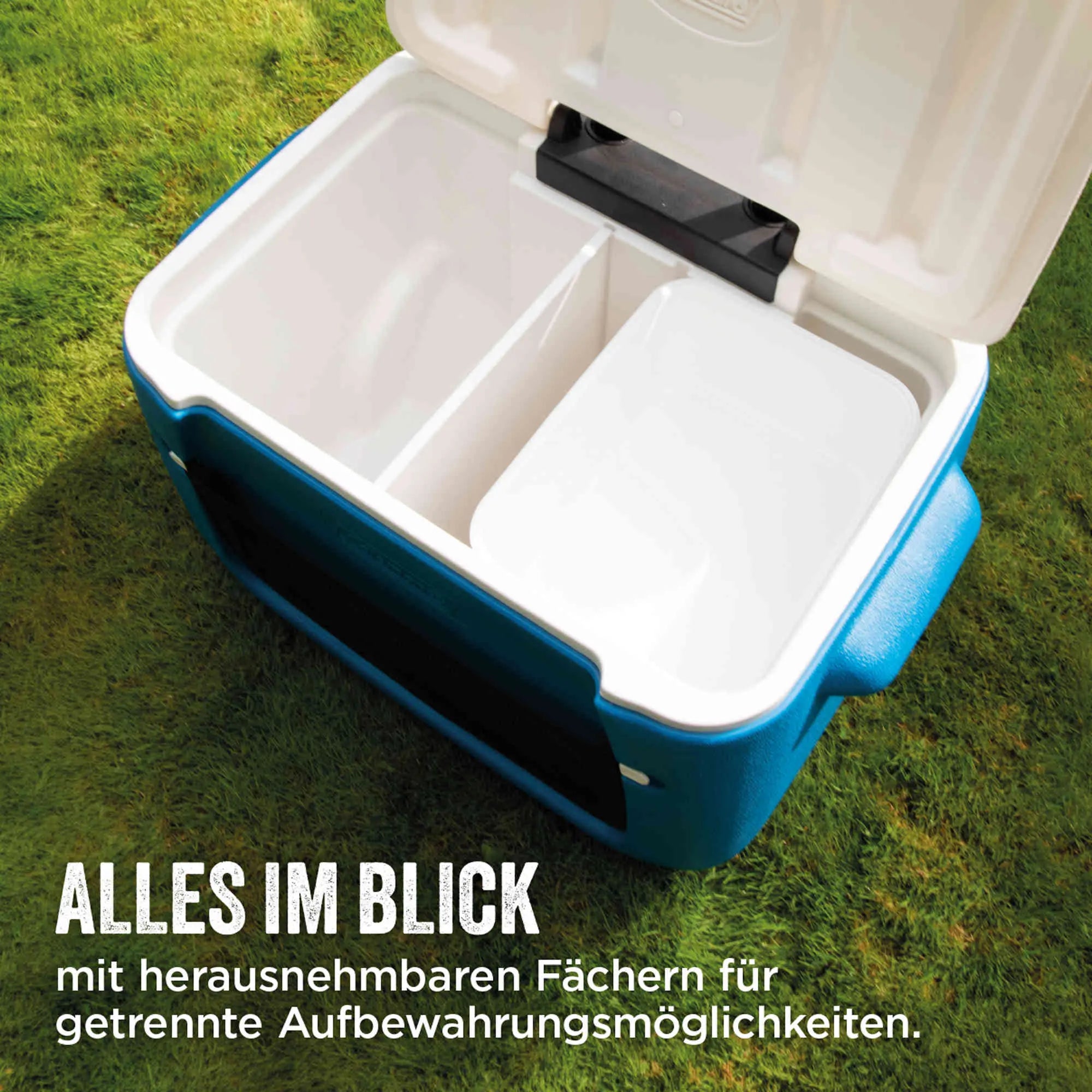 Coleman 50QT Polylite Wheeled | 46 Liter Kühlbox mit Rollen | 3 Tage Kühlung