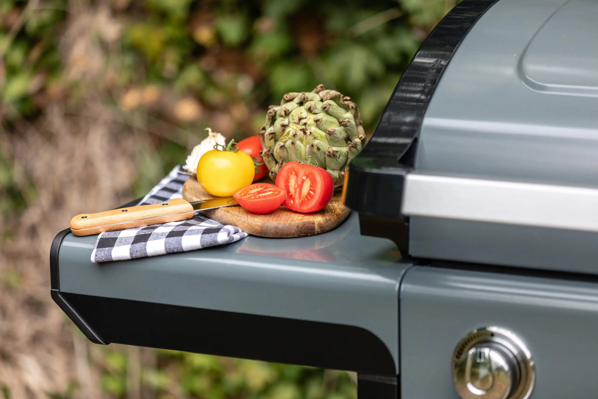 Campingaz 4 Series Premium Gasgrill | 4 Blue Flame Edelstahlbrenner  Gasgrill Campingaz & Coleman