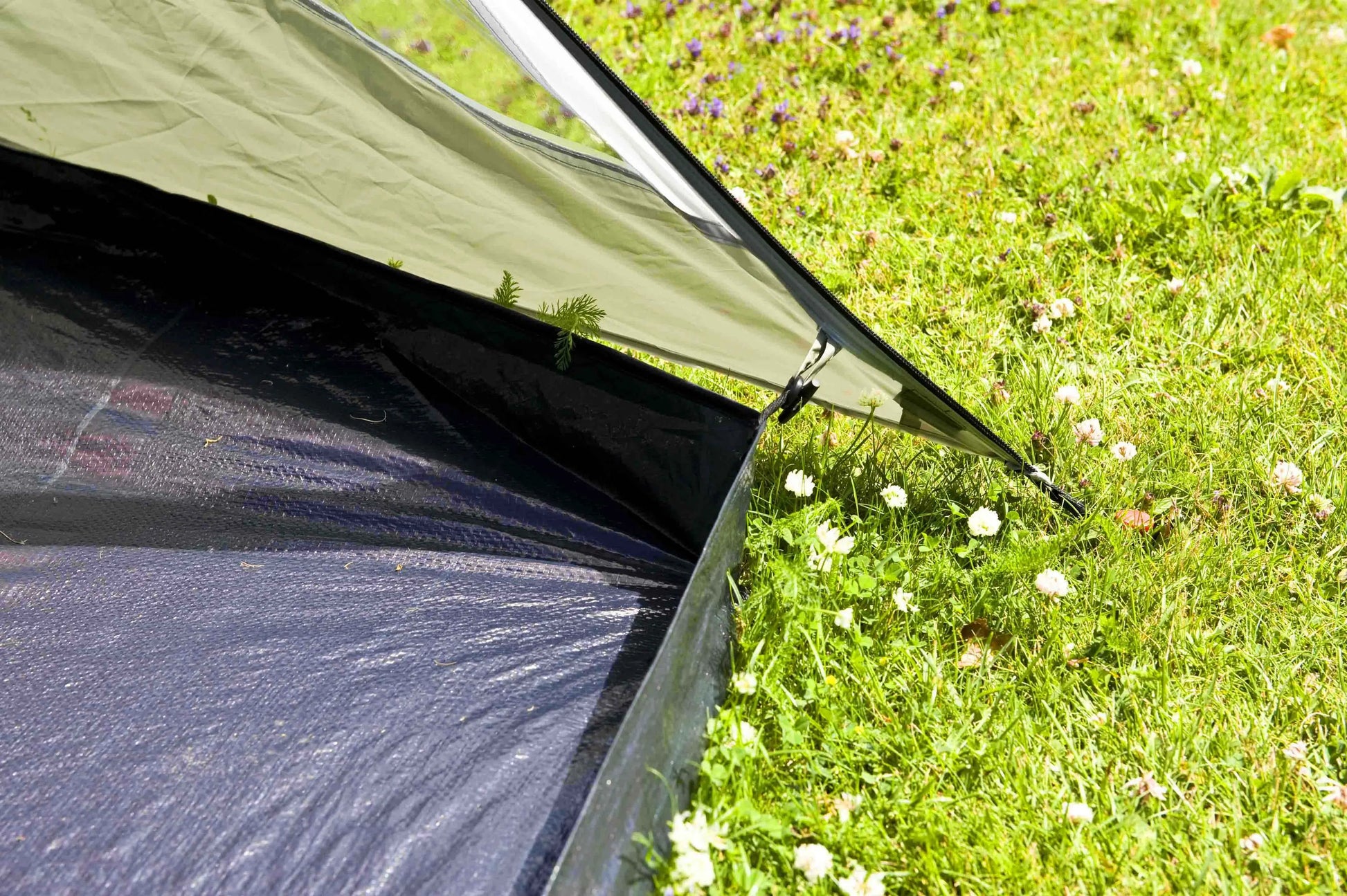 coleman zelt tasman 3 plus Coastline 3 Plus
