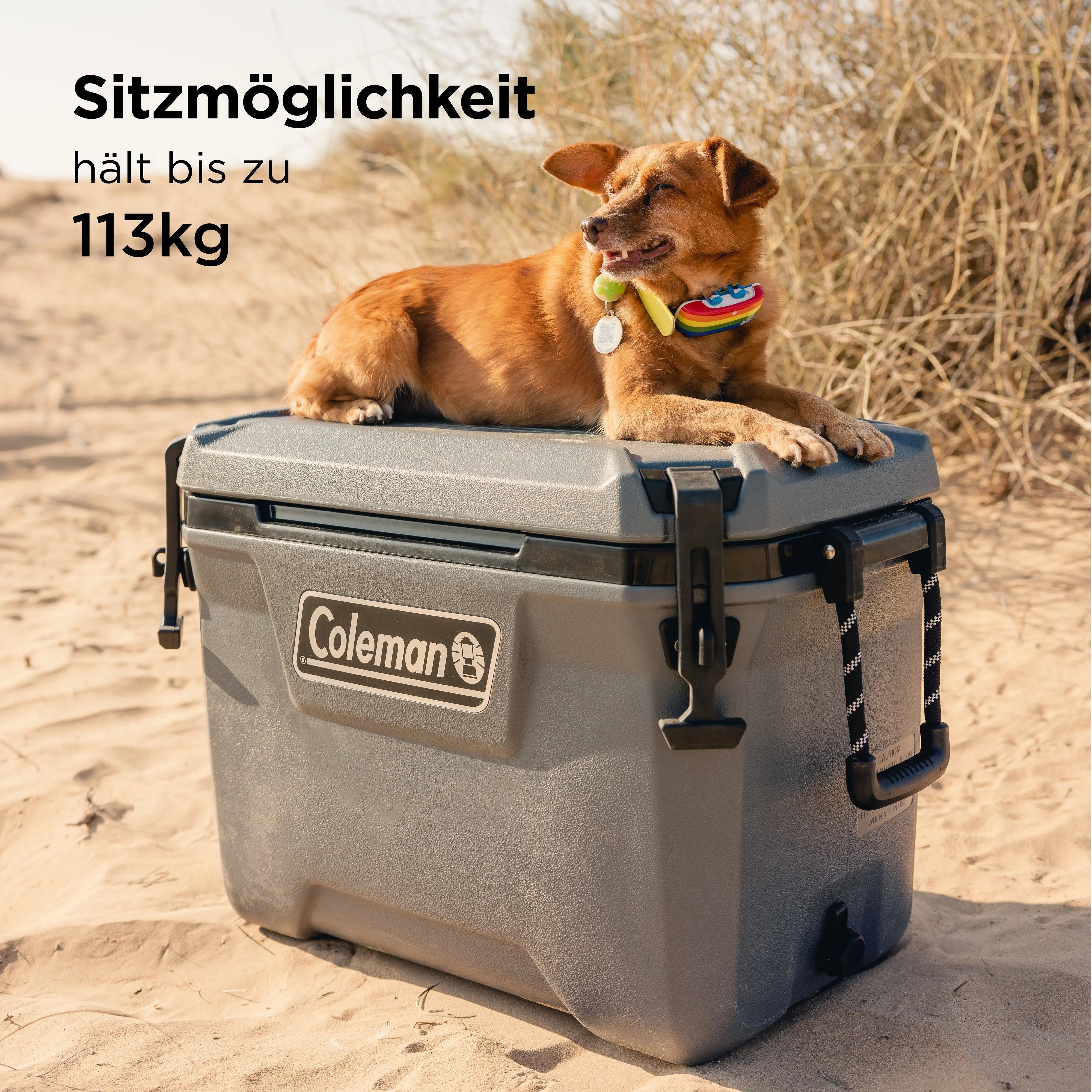 Coleman Convoy 55 QT Cooler | 53L, 4-day cooling, robust