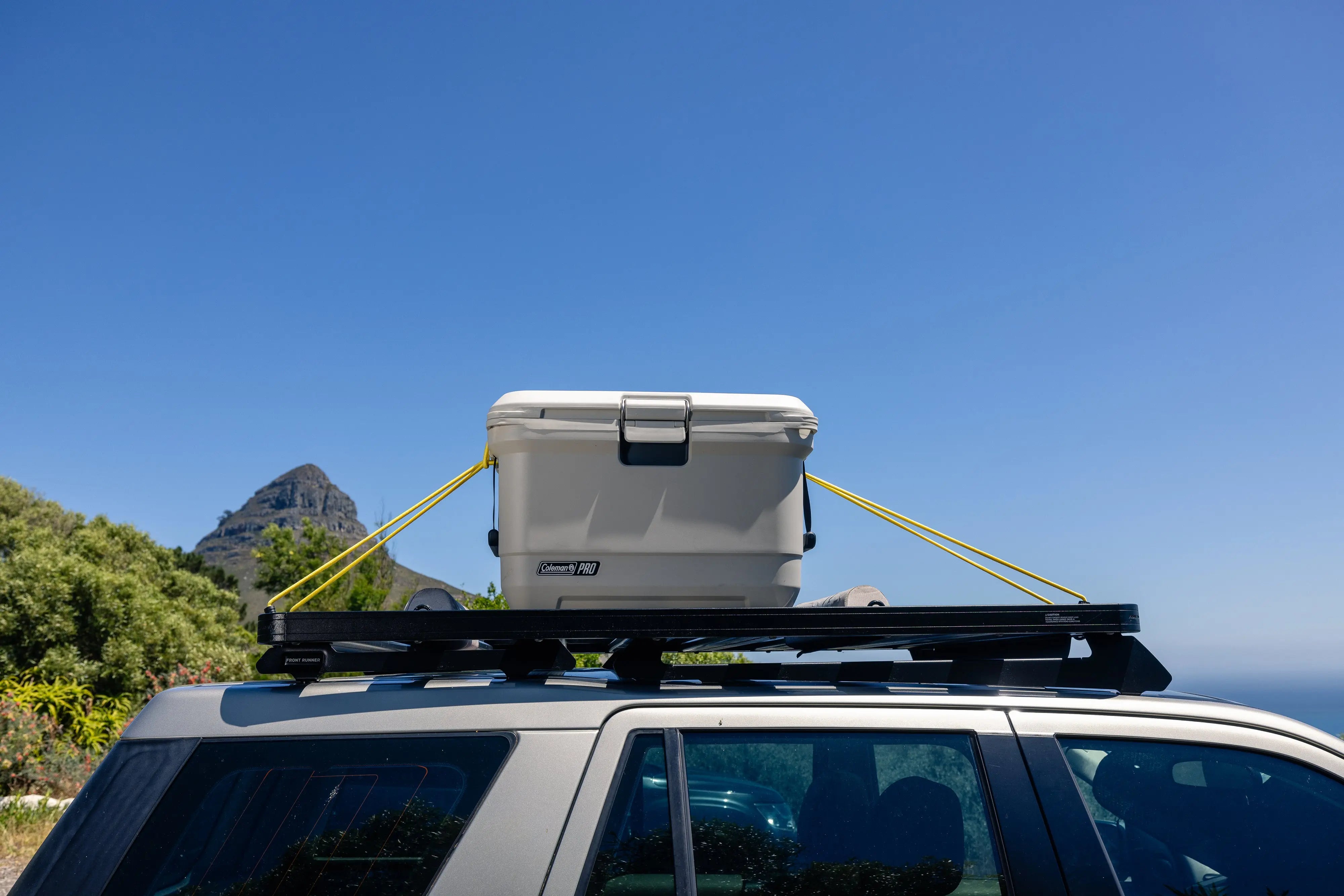 Coleman PRO 45QT Kühlbox Coleman