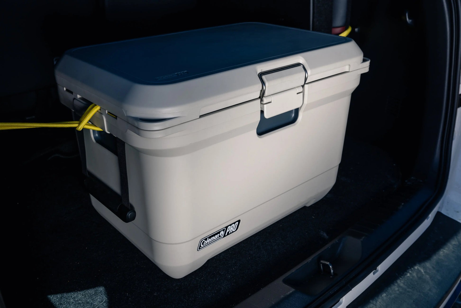 Coleman PRO 45QT Kühlbox Coleman