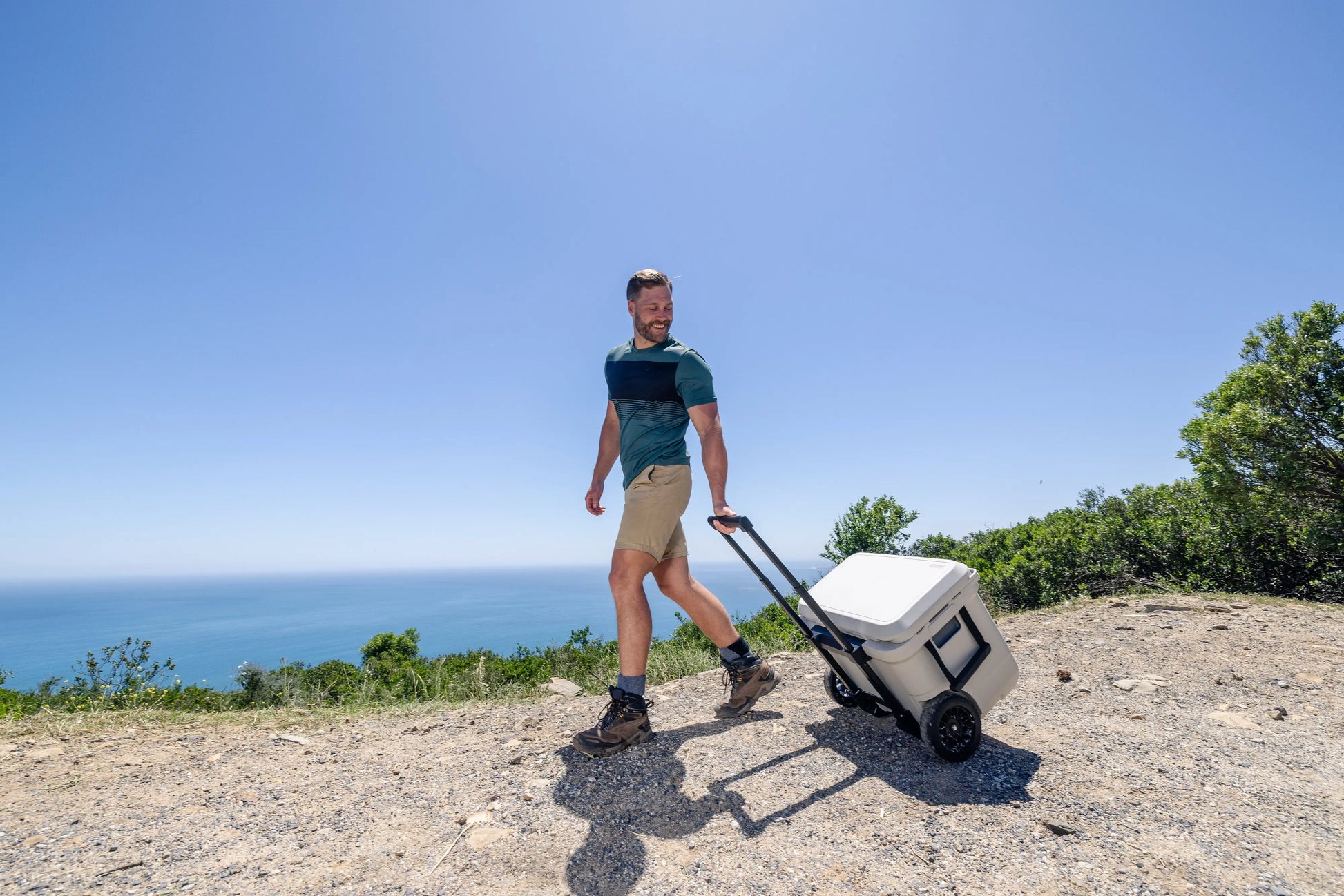 Coleman PRO 55QT Wheeled Kühlbox mit Rollen Coleman
