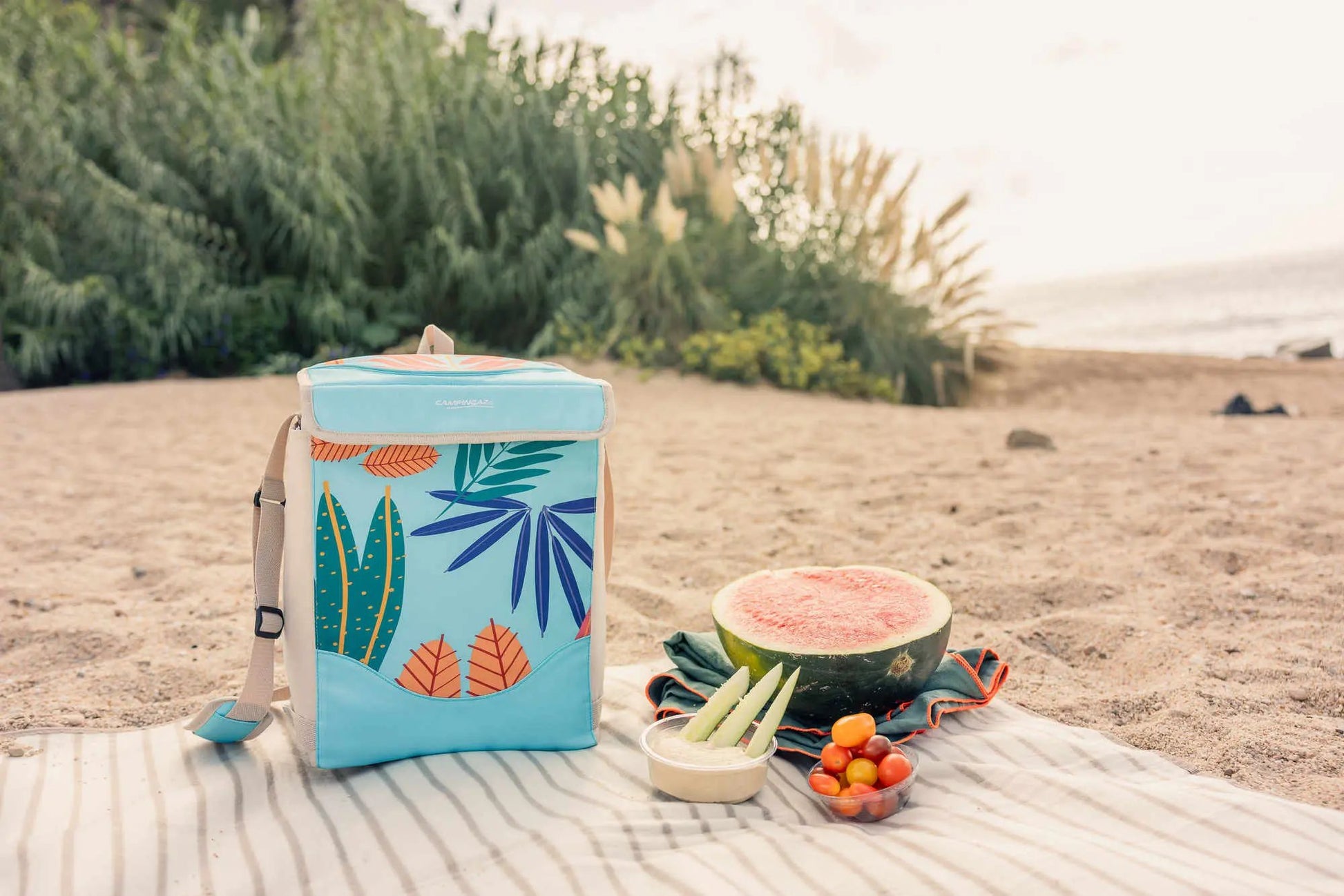 Ethnic Minimax 19L Kühltasche   Campingaz & Coleman