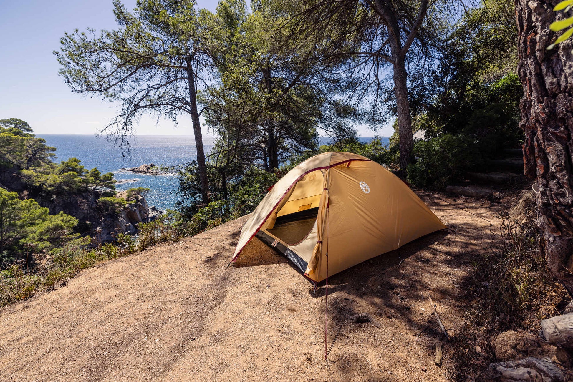 Darwin 3 Summer   Campingaz & Coleman