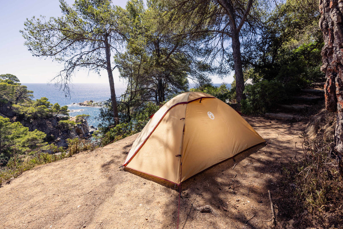 Coleman Darwin 3 Summer | leichtes Kuppelzelt | 3 Personen  Zelt Campingaz & Coleman
