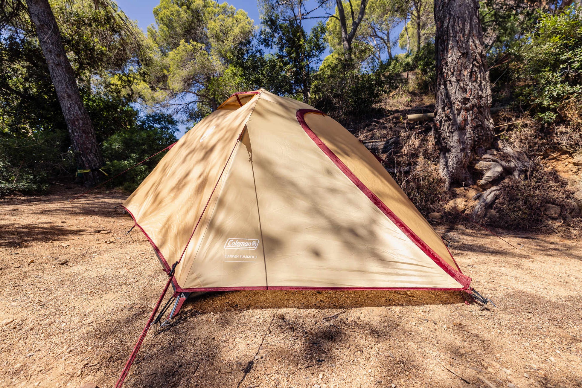 Darwin 3 Summer   Campingaz & Coleman