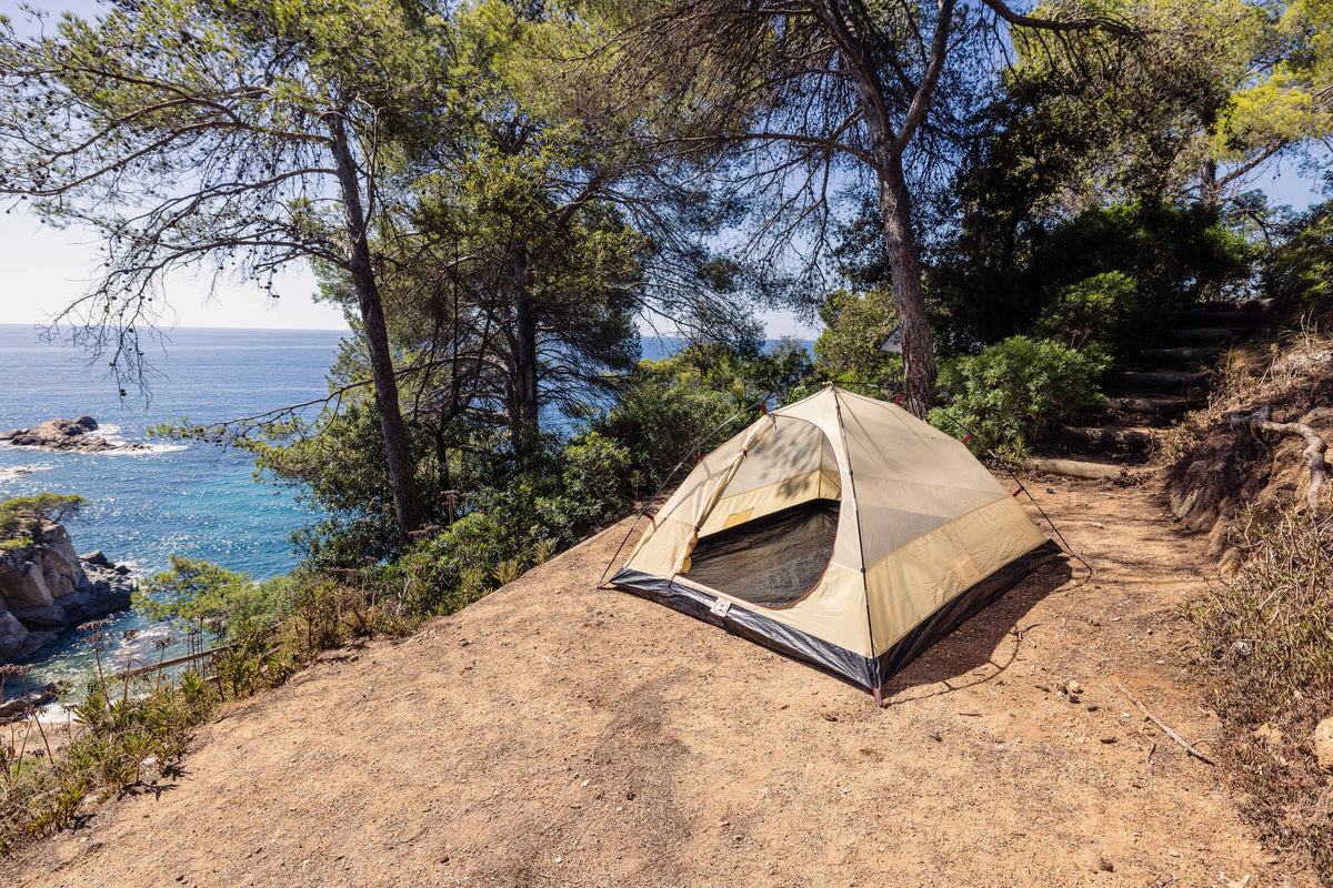 Coleman Darwin 3 Summer | leichtes Kuppelzelt | 3 Personen  Zelt Campingaz & Coleman