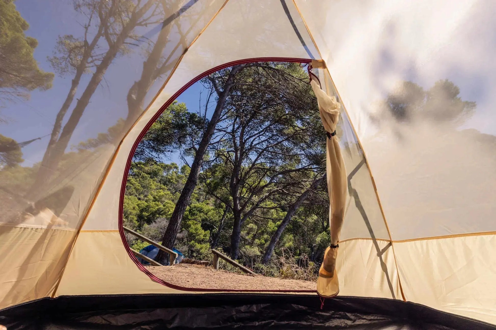 Darwin 3 Summer Tent
