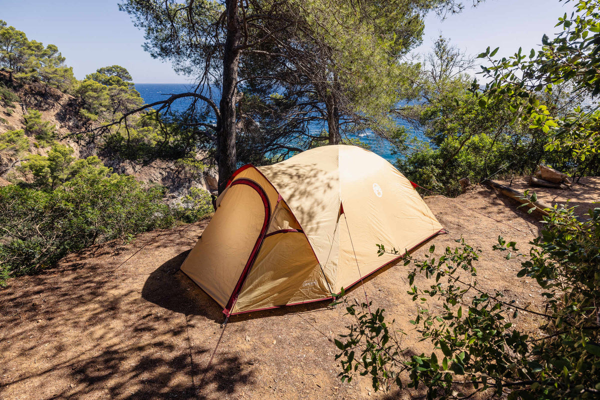 Coleman Darwin 3 Plus Summer | leichtes Kuppelzelt mit Vorraum | 3 Personen  Zelt Campingaz & Coleman