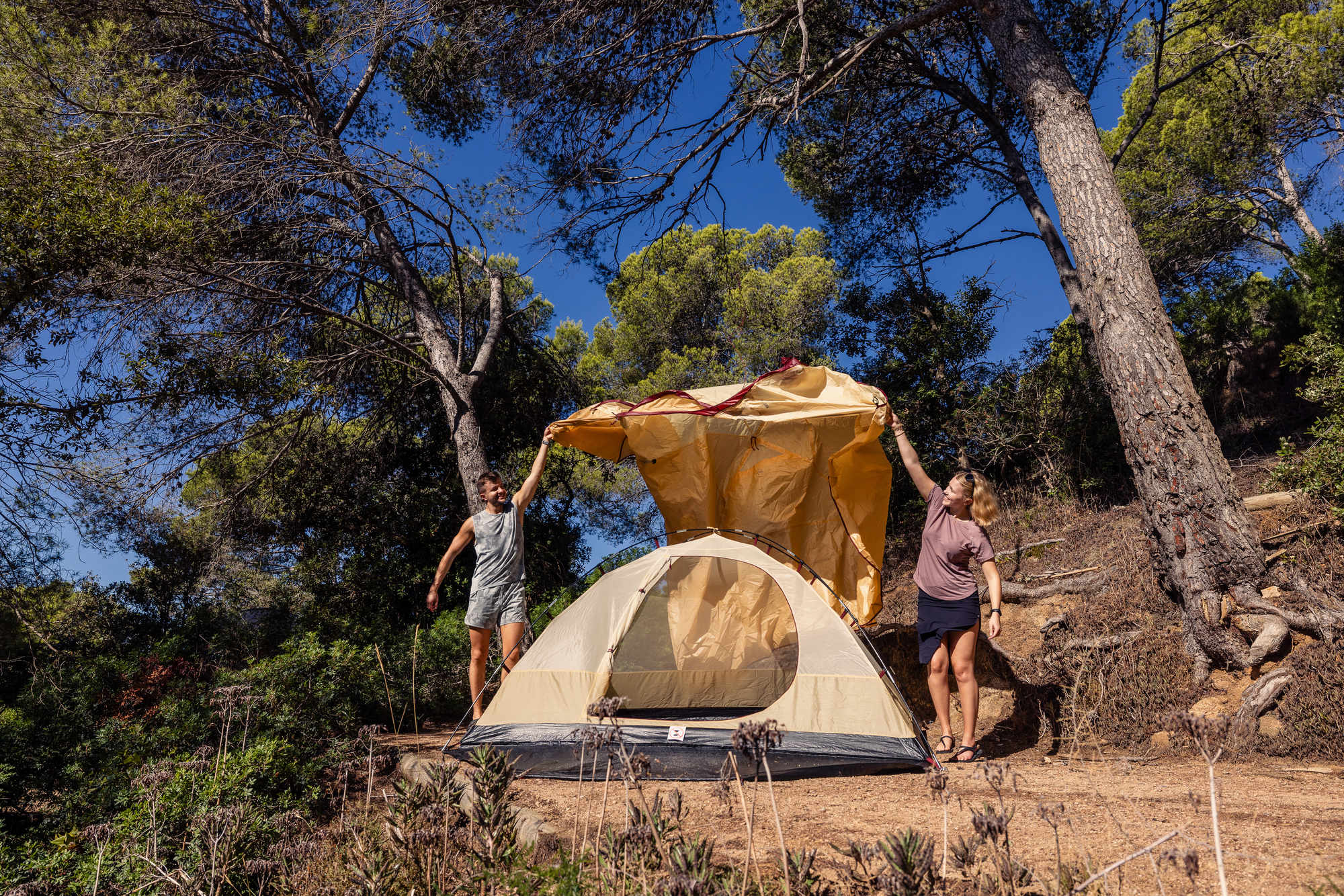 Darwin 4 Plus Summer   Campingaz & Coleman