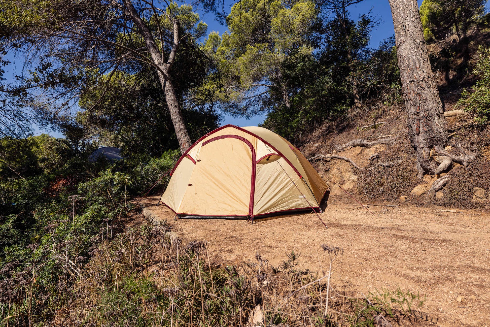 Darwin 4 Plus Summer   Campingaz & Coleman