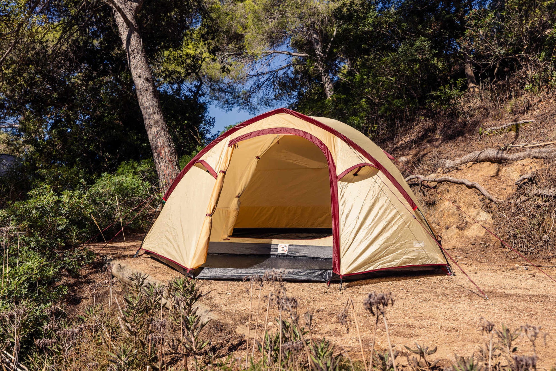 Darwin 4 Plus Summer   Campingaz & Coleman